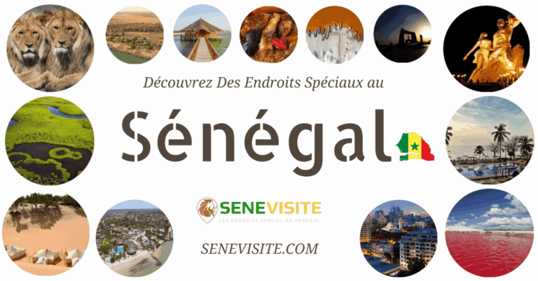 SeneVisite Facebook AD - Made with DesignCap